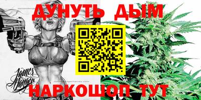 Альфа ПВП Малгобек