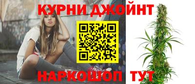 Альфа ПВП Малгобек
