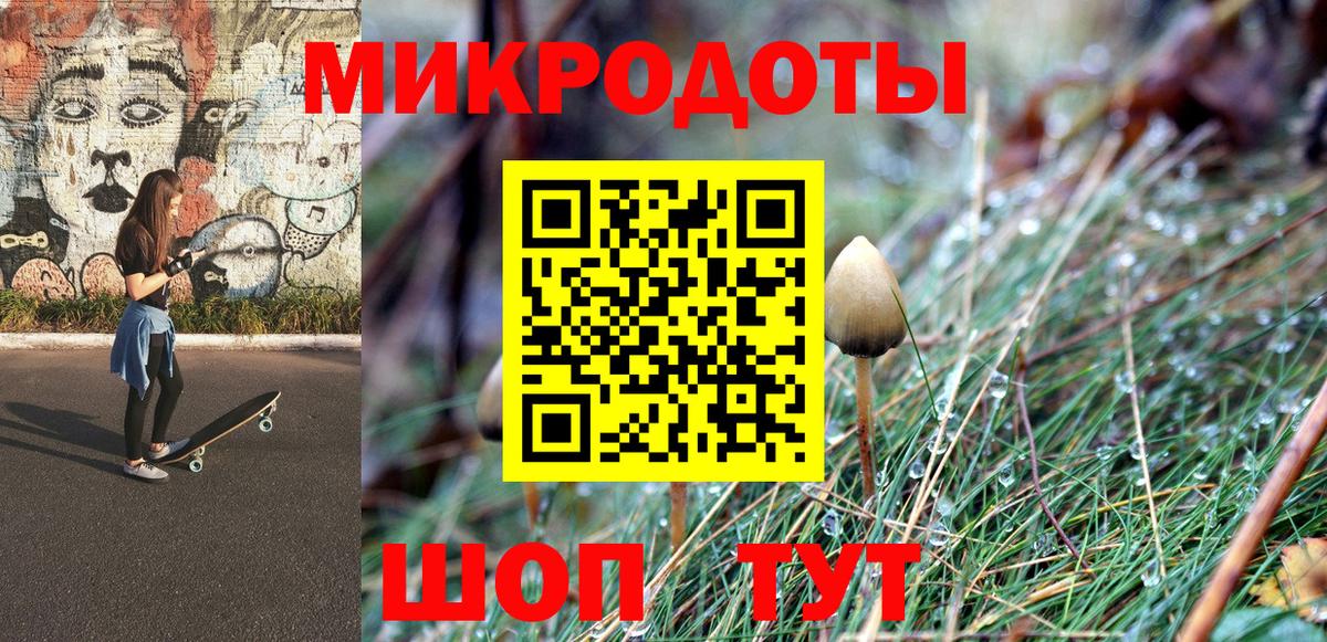 Фрязино  Галлюциногенные грибы Psilocybe  Вход с VPN  Псилоцибиновые грибы GOLDEN TEACHER 
