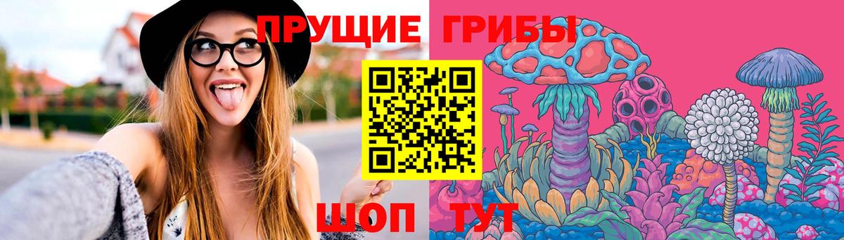 Псилоцибиновые грибы Cubensis Фрязино